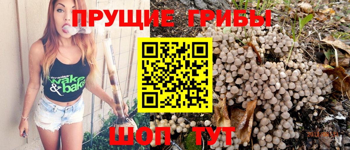 Псилоцибиновые грибы MAGIC MUSHROOMS Сегежа