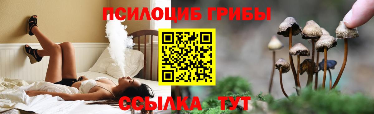 Галлюциногенные грибы мицелий  где найти   Сегежа  Вход с VPN 